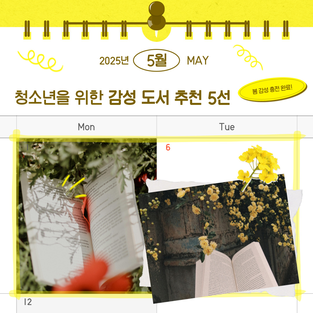 KakaoTalk_20250507_103254558.jpg