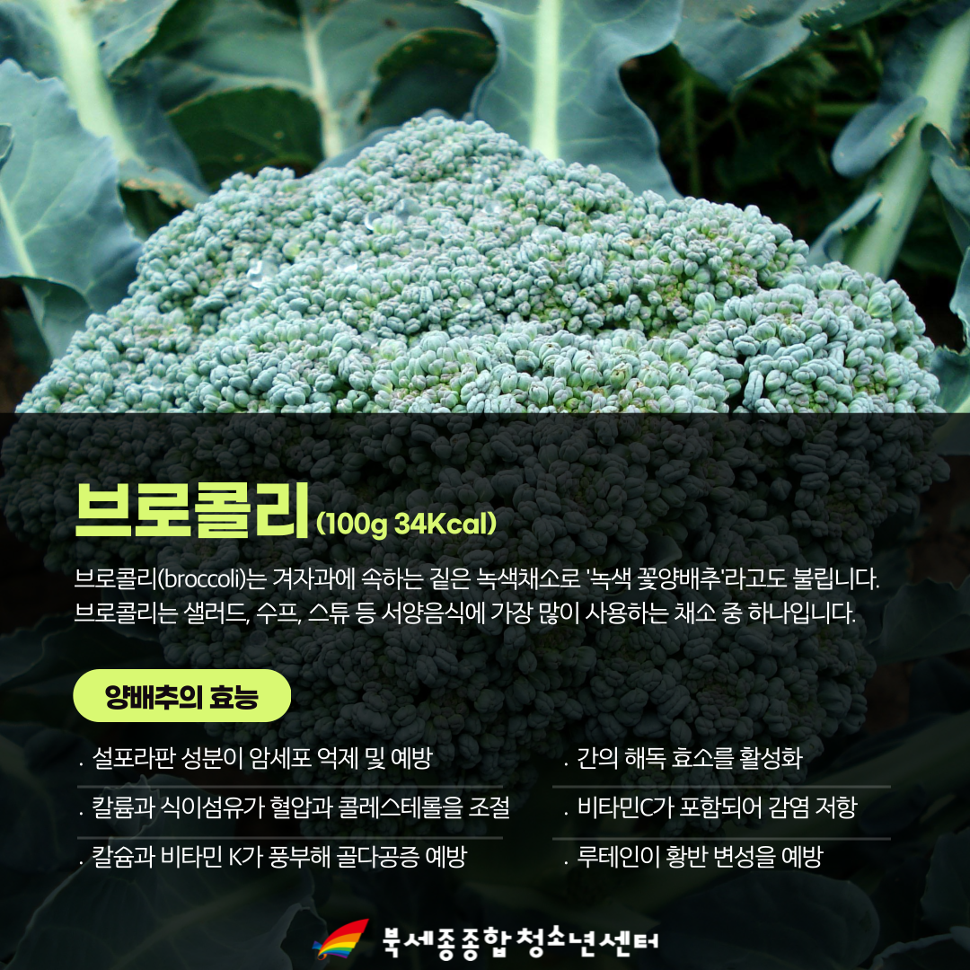 KakaoTalk_20250204_094743725_03.png